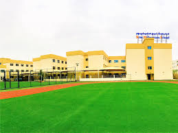 New Millennium School 